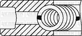 Кільця поршневі Citroen Berlingo 1.6HDI (75.00mm/STD) (3-1.95-2.5) YENMAK 9109168000 (фото 1)